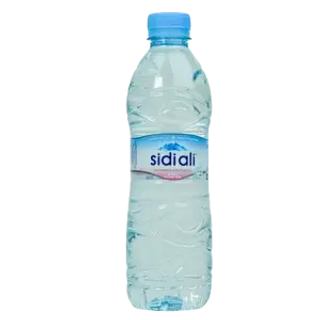 Eau Plate 0,5l