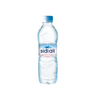 Sidi Ali
